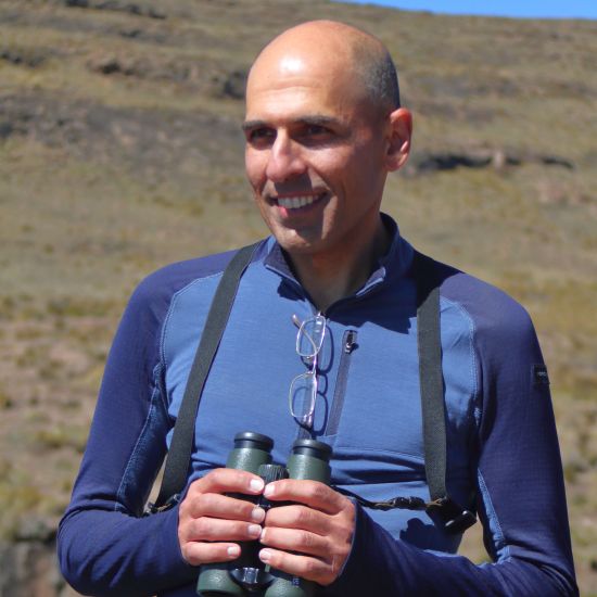 Professor Ara Monadjem