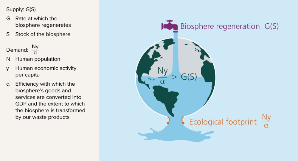 Economics of biodiversity