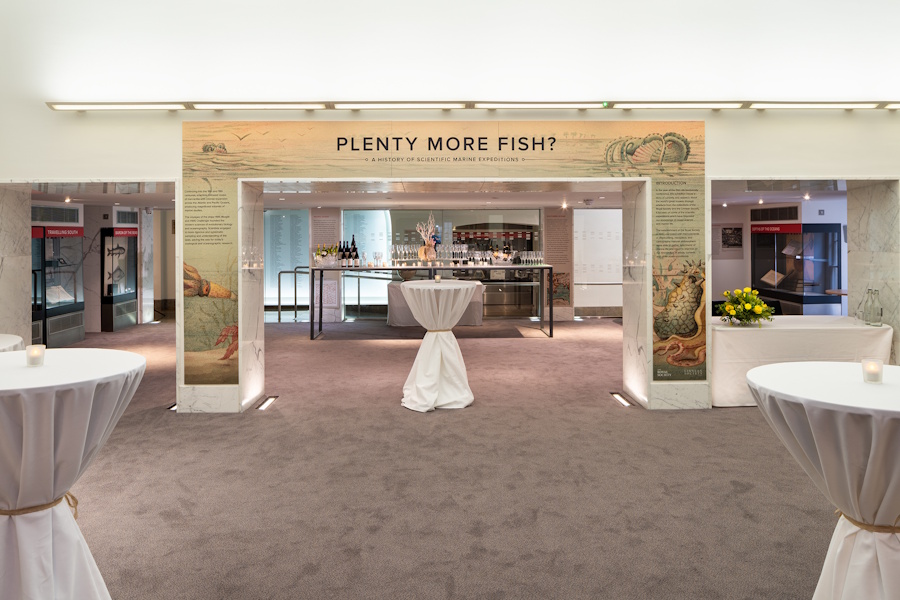 Semi-private Exhibition area