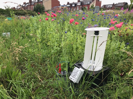 Photo of a light trap, a white plastic container for measuring insect pollinator activity. The light trap is photographed in a field of long grass and wild flowers, with buildings in the background. Photo by Emilie Ellis.