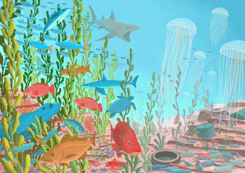 Humans have placed huge pressure on the oceans over recent decades. The diversity and abundance of ancient seas eclipse the degraded state of modern ecosystems. Depictions of ancient oceans, shown here on the left, can fill us with deep sadness and loss but also a sense of hope and purpose to transform and restore today’s degraded oceans, shown here on the right, back towards a flourishing healthy state. Illustration by Jacek Matysiak.