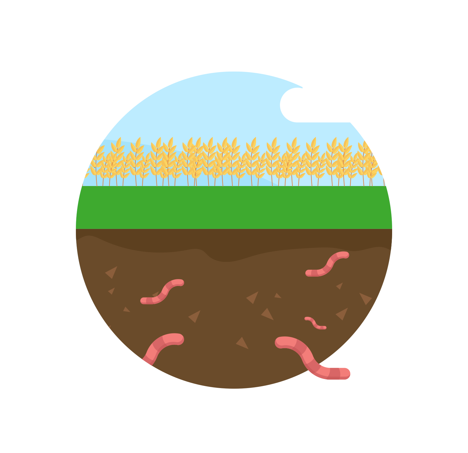 Soil carbon sequestration